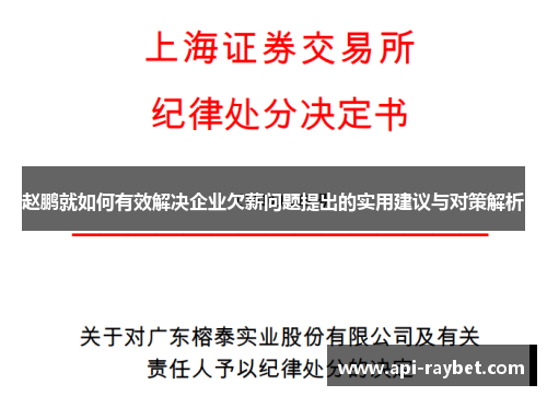 赵鹏就如何有效解决企业欠薪问题提出的实用建议与对策解析